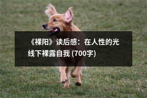 《裸陽》讀后感：在人性的光線下裸露自我 (700字)