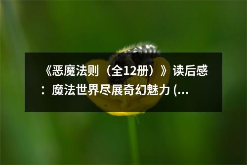 《惡魔法則（全12冊(cè)）》讀后感：魔法世界盡展奇幻魅力 (800字)