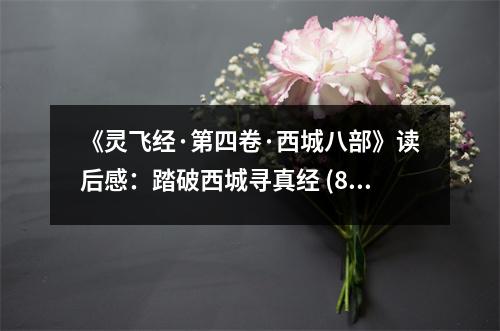 《靈飛經(jīng)·第四卷·西城八部》讀后感：踏破西城尋真經(jīng) (800字)