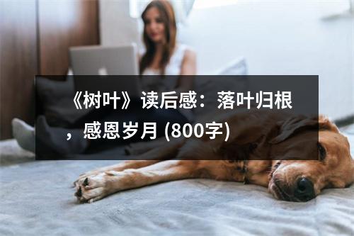 《樹(shù)葉》讀后感：落葉歸根，感恩歲月 (800字)
