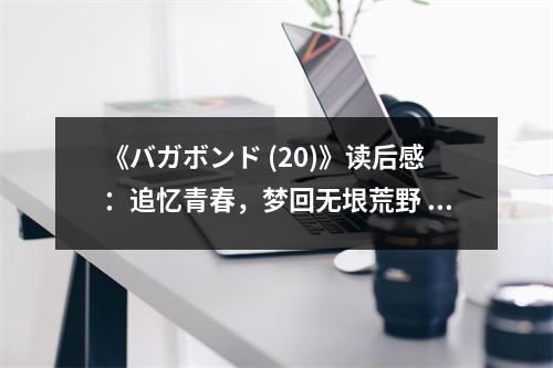 《バガボンド (20)》讀后感：追憶青春，夢回?zé)o垠荒野 (900字)