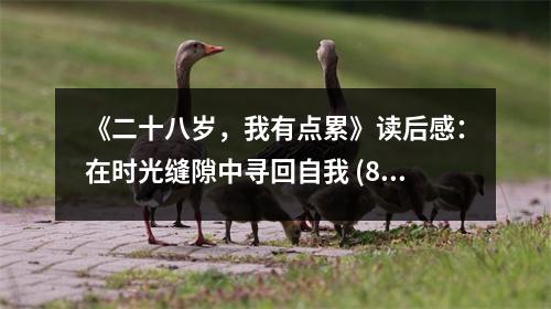 《二十八歲，我有點(diǎn)累》讀后感：在時(shí)光縫隙中尋回自我 (850字)