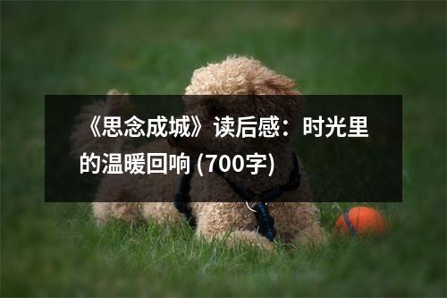 《思念成城》讀后感：時光里的溫暖回響 (700字)