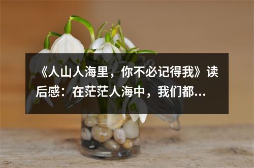 《人山人海里，你不必記得我》讀后感：在茫茫人海中，我們都是彼此的過客 (750字)