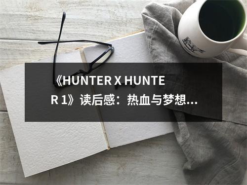 《HUNTER X HUNTER 1》讀后感：熱血與夢想交織的冒險(xiǎn)之旅 (700字)