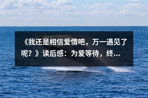 《我還是相信愛(ài)情吧，萬(wàn)一遇見(jiàn)了呢？》讀后感：為愛(ài)等待，終遇良人 (950字)