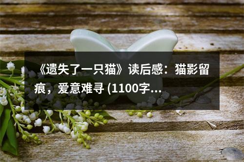 《遺失了一只貓》讀后感：貓影留痕，愛意難尋 (1100字)