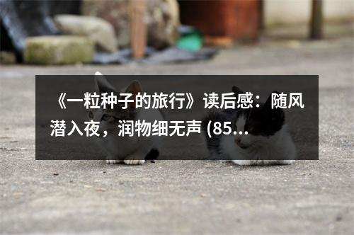 《一粒種子的旅行》讀后感：隨風(fēng)潛入夜，潤物細(xì)無聲 (850字)