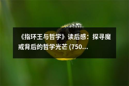 《指環(huán)王與哲學(xué)》讀后感：探尋魔戒背后的哲學(xué)光芒 (750字)