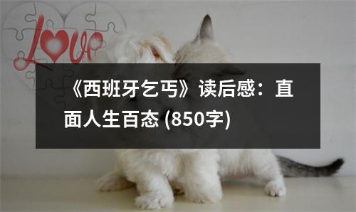 《西班牙乞丐》讀后感：直面人生百態(tài) (850字)