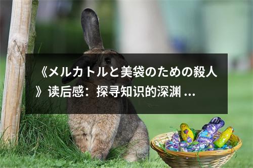 《メルカトルと美袋のための殺人》讀后感：探尋知識的深淵 (700字)