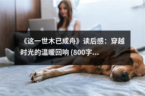 《這一世木已成舟》讀后感：穿越時光的溫暖回響 (800字)