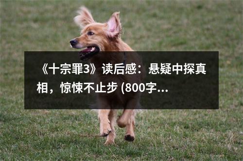 《十宗罪3》讀后感：懸疑中探真相，驚悚不止步 (800字)