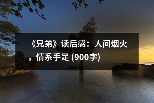 《兄弟》讀后感：人間煙火，情系手足 (900字)
