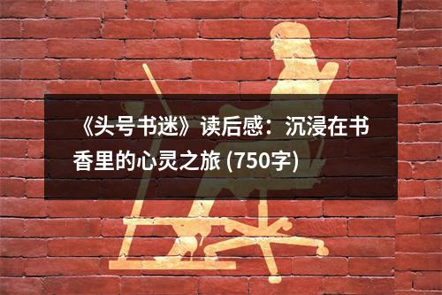 《頭號(hào)書(shū)迷》讀后感：沉浸在書(shū)香里的心靈之旅 (750字)