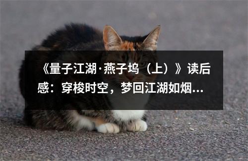 《量子江湖·燕子塢（上）》讀后感：穿梭時空，夢回江湖如煙雨 (800字)