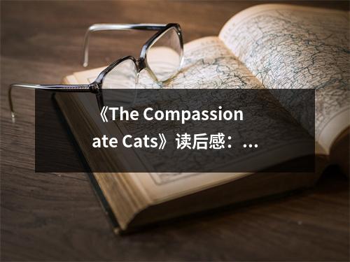 《The Compassionate Cats》讀后感：貓兒的溫柔治愈心 (750字)