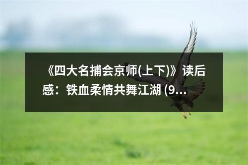 《四大名捕會(huì)京師(上下)》讀后感：鐵血柔情共舞江湖 (900字)