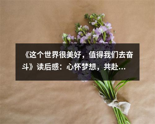 《這個世界很美好，值得我們?nèi)^斗》讀后感：心懷夢想，共赴星辰大海 (750字)