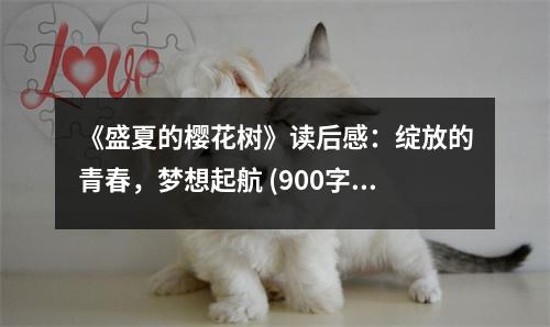 《盛夏的櫻花樹》讀后感：綻放的青春，夢想起航 (900字)