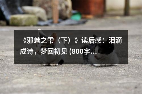 《邪魅之雫（下）》讀后感：淚滴成詩，夢(mèng)回初見 (800字)
