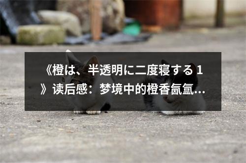 《橙は、半透明に二度寢する 1》讀后感：夢(mèng)境中的橙香氤氳 (1150字)