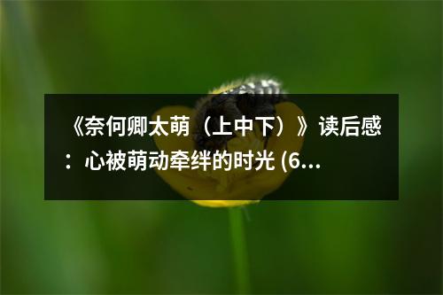 《奈何卿太萌（上中下）》讀后感：心被萌動(dòng)牽絆的時(shí)光 (600字)