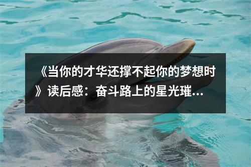 《當(dāng)你的才華還撐不起你的夢(mèng)想時(shí)》讀后感：奮斗路上的星光璀璨 (1000字)