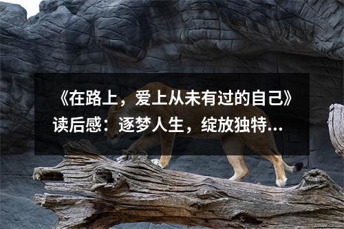《在路上，愛上從未有過的自己》讀后感：逐夢人生，綻放獨特光彩 (900字)