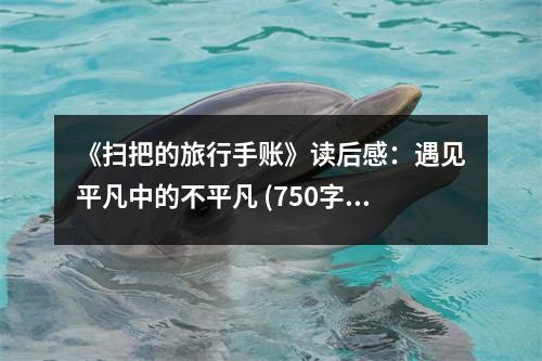 《掃把的旅行手賬》讀后感：遇見平凡中的不平凡 (750字)