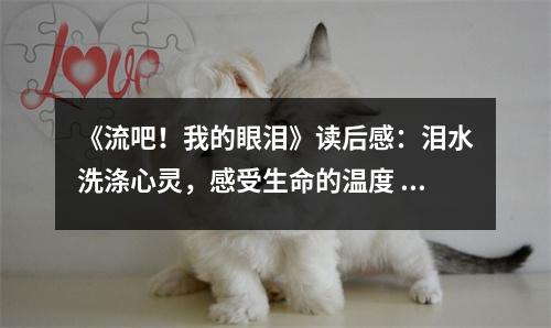 《流吧！我的眼淚》讀后感：淚水洗滌心靈，感受生命的溫度 (800字)