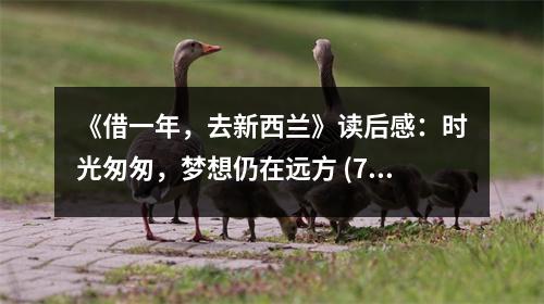 《借一年，去新西蘭》讀后感：時(shí)光匆匆，夢(mèng)想仍在遠(yuǎn)方 (700字)