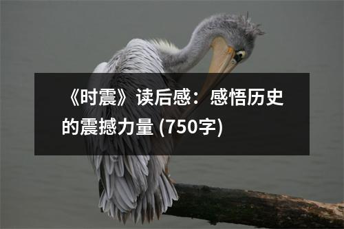 《時(shí)震》讀后感：感悟歷史的震撼力量 (750字)