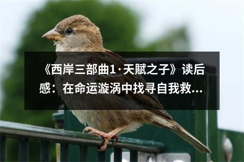 《西岸三部曲1·天賦之子》讀后感：在命運(yùn)漩渦中找尋自我救贖 (1150字)