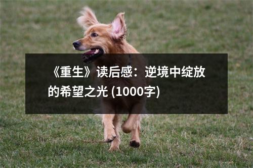 《重生》讀后感：逆境中綻放的希望之光 (1000字)