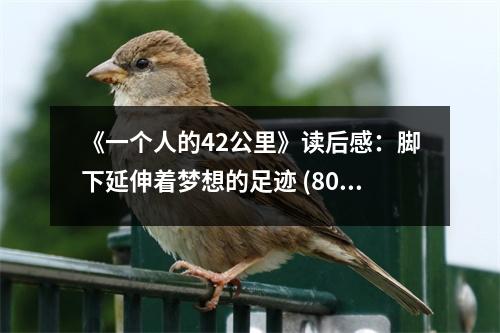 《一個(gè)人的42公里》讀后感：腳下延伸著夢(mèng)想的足跡 (800字)