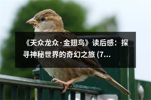 《天眾龍眾·金翅鳥》讀后感：探尋神秘世界的奇幻之旅 (700字)
