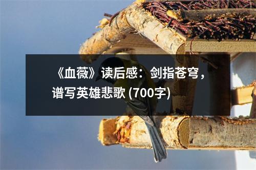 《血薇》讀后感：劍指蒼穹，譜寫英雄悲歌 (700字)