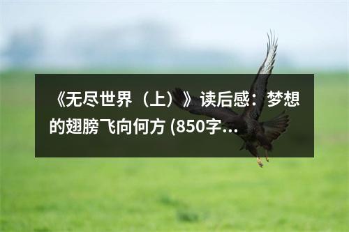 《無(wú)盡世界（上）》讀后感：夢(mèng)想的翅膀飛向何方 (850字)