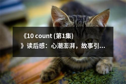 《10 count (第1集)》讀后感：心潮澎湃，故事引人入勝 (650字)