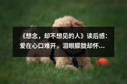 《想念，卻不想見(jiàn)的人》讀后感：愛(ài)在心口難開(kāi)，淚眼朦朧卻懷念 (800字)