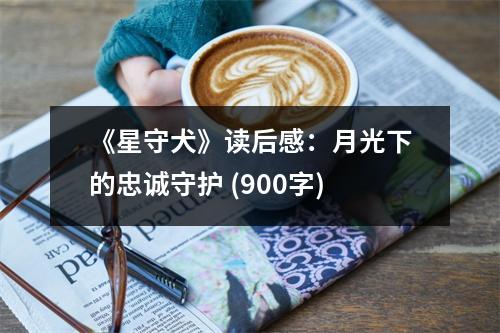 《星守犬》讀后感：月光下的忠誠守護 (900字)
