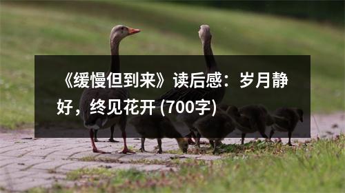《緩慢但到來》讀后感：歲月靜好，終見花開 (700字)