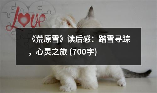 《荒原雪》讀后感：踏雪尋蹤，心靈之旅 (700字)