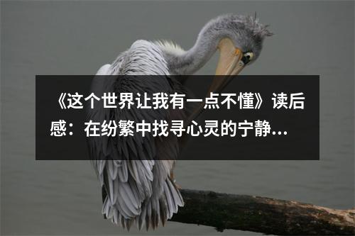 《這個世界讓我有一點不懂》讀后感：在紛繁中找尋心靈的寧靜 (1100字)