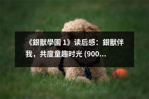 《銀獸學(xué)園 1》讀后感：銀獸伴我，共度童趣時(shí)光 (900字)