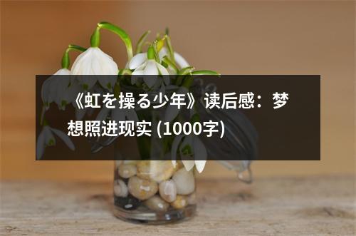 《虹を操る少年》讀后感：夢(mèng)想照進(jìn)現(xiàn)實(shí) (1000字)