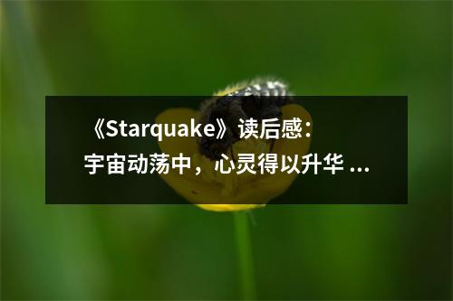 《Starquake》讀后感：宇宙動(dòng)蕩中，心靈得以升華 (850字)