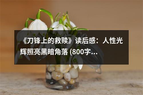 《刀鋒上的救贖》讀后感：人性光輝照亮黑暗角落 (800字)