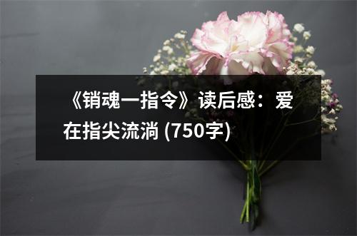 《銷魂一指令》讀后感：愛在指尖流淌 (750字)